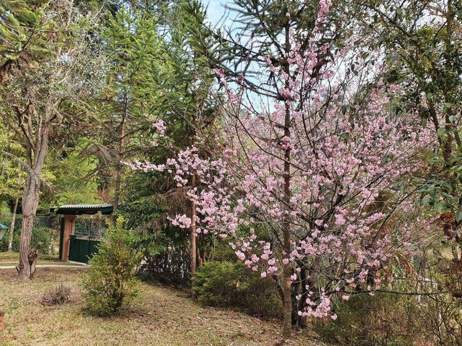 Villa Casa Da Nanna Campos Campos do Jordão Exterior foto